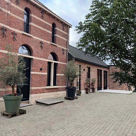 De Wilden Ezel Bed & Breakfast Mol Eksteriør bilde